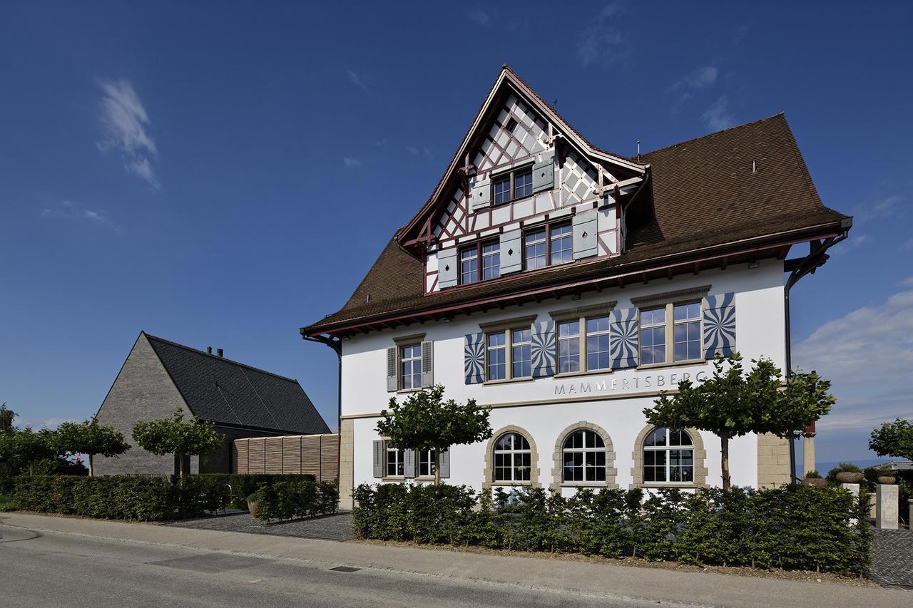 Mammertsberg Roggwil  Kültér fotó